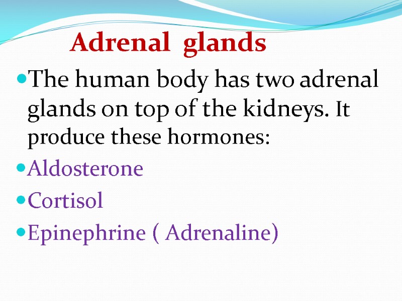 Adrenal  glands The human body has two adrenal glands on top of the